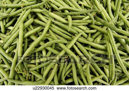 drink, background, close-up, CLOSE, bean, alfred View Large Photo Image Stock Photography - drink, background, close-up, CLOSE, bean, alfred. Fotosearch
