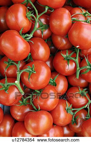 eat, background, drink, close-up, CLOSE, alfred View Large Photo Image Picture - eat, background, drink, close-up, CLOSE, alfred. Fotosearch