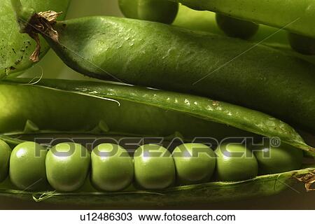 Stock Image - eating, CLOSE, eat, drink, close-up, alfred. Fotosearch