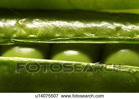 Stock Photo - eating, CLOSE, eat, drink, close-up, alfred. Fotosearch