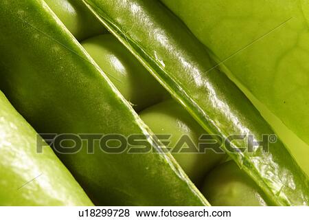 Stock Photo - eating, CLOSE, eat, drink, close-up, alfred. Fotosearch