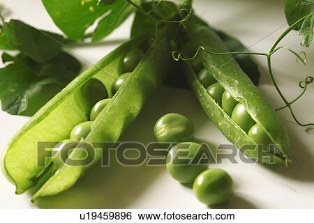 Stock Photograph - eating, CLOSE, eat, drink, close-up, alfred. Fotosearch