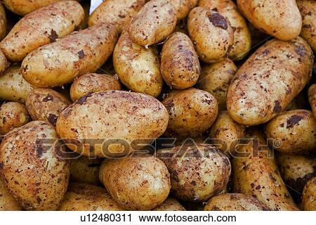 Stock Image - erde, aliment, barun, cook, diemer, food, germany. Fotosearch