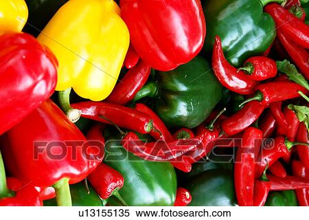 multicolor, chili, grocer, garnish, shelves, vegatable, agriculture View Large Photo Image Stock Photography - multicolor, chili, grocer, garnish, shelves, vegatable, agriculture. Fotosearch