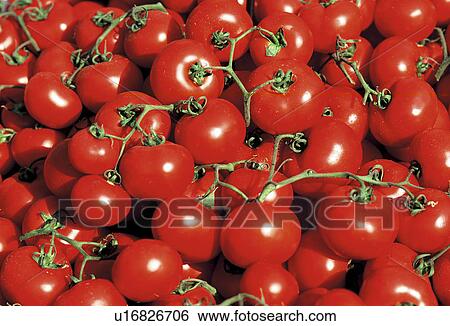 Stock Photograph - standeln, naschmarkt, wienzeile, austria, calf, food, healthy. Fotosearch