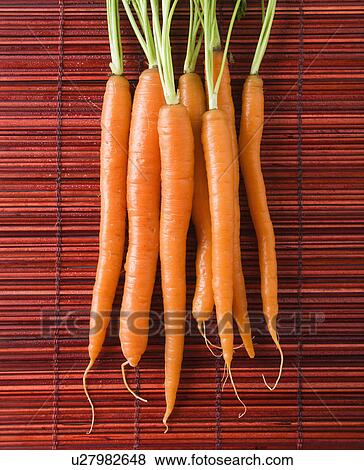Close up of orange carrots with green tops against bamboo mat. View Large Photo Image Stock Photo - Close up of orange carrots with green tops against bamboo mat.. Fotosearch