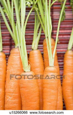 Stock Photograph - Close up of orange carrots with green tops against bamboo mat.. Fotosearch