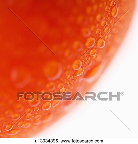 Stock Photography - Close up of wet red ripe tomato against white background.. Fotosearch