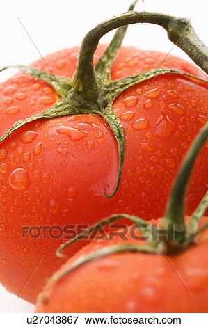 Close up of wet red ripe tomatoes against white background. View Large Photo Image Stock Photo - Close up of wet red ripe tomatoes against white background.. Fotosearch