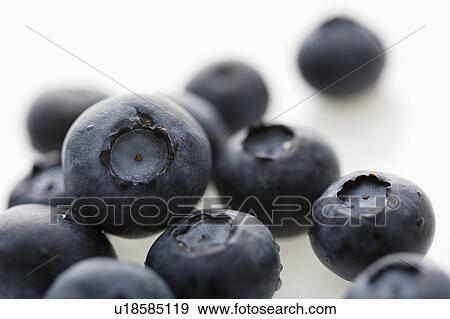 Group of blueberries on white background. View Large Photo Image Stock Photo - Group of blueberries on white background.. Fotosearch