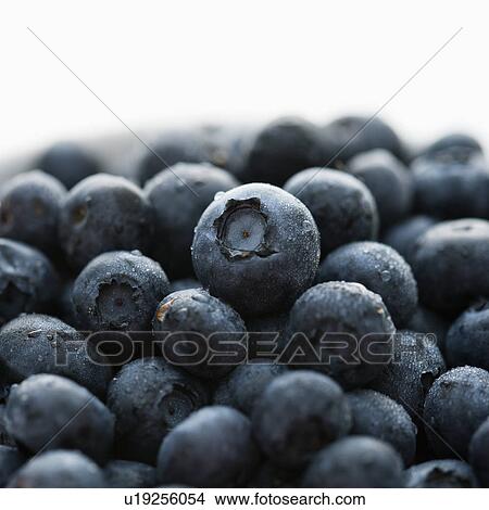 Group of blueberries. View Large Photo Image Picture - Group of blueberries.. Fotosearch