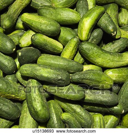 Stock Image - Pile of green cucumbers at produce market.. Fotosearch