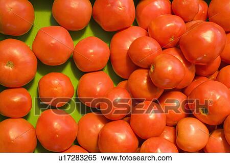 Pile of red tomatoes at produce market. View Large Photo Image Stock Photography - Pile of red tomatoes at produce market.. Fotosearch