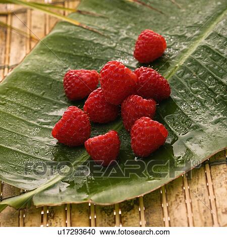 Still life of red raspberries on banana leaf. View Large Photo Image Stock Image - Still life of red raspberries on banana leaf.. Fotosearch