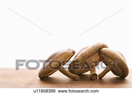 Three brown mushrooms on wooden cutting board with white background. View Large Photo Image Stock Photo - Three brown mushrooms on wooden cutting board with white background.. Fotosearch