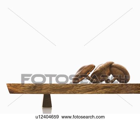 Three brown mushrooms on wooden cutting board with white background. View Large Photo Image Stock Photo - Three brown mushrooms on wooden cutting board with white background.. Fotosearch
