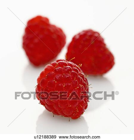 Three red raspberries on white background. View Large Photo Image Stock Photo - Three red raspberries on white background.. Fotosearch