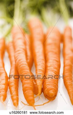 Stock Image - Bunch of orange carrots with green tops on white background.. Fotosearch