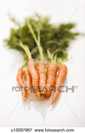 Bunch of orange carrots with green tops on white background. View Large Photo Image Stock Photo - Bunch of orange carrots with green tops on white background.. Fotosearch