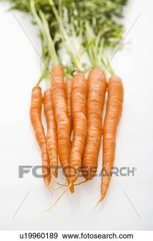 Bunch of orange carrots with green tops on white background. View Large Photo Image Stock Photo - Bunch of orange carrots with green tops on white background.. Fotosearch