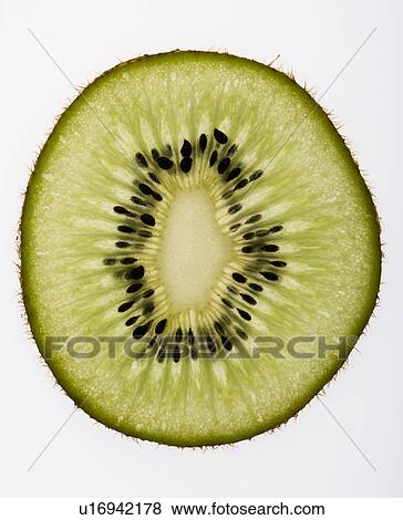 Stock Photo - Close up of single kiwi fruit slice on white background.. Fotosearch