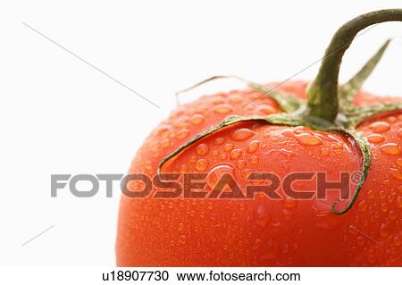 Stock Image - Close up of wet red ripe tomato against white background.. Fotosearch