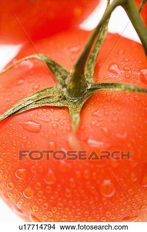 Picture - Close up of wet red ripe tomatoes against white background.. Fotosearch