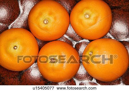 Stock Photo - Five tangerines.. Fotosearch