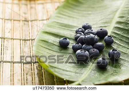 Stock Image - Group of blueberries on banana leaf.. Fotosearch