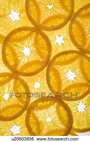 Orange slices arranged in design on white background. View Large Photo Image Stock Photograph - Orange slices arranged in design on white background.. Fotosearch