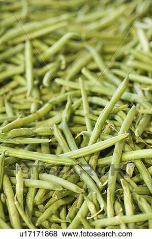 Stock Photo - Pile of green beans at produce market.. Fotosearch