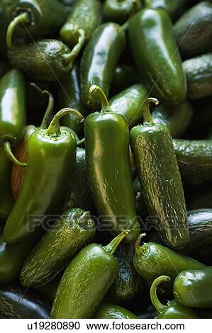 Stock Image - Pile of green jalapeno peppers at produce market.. Fotosearch