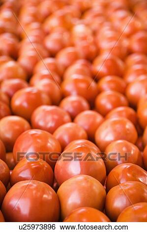 Pile of red tomatoes at produce market. View Large Photo Image Stock Photograph - Pile of red tomatoes at produce market.. Fotosearch