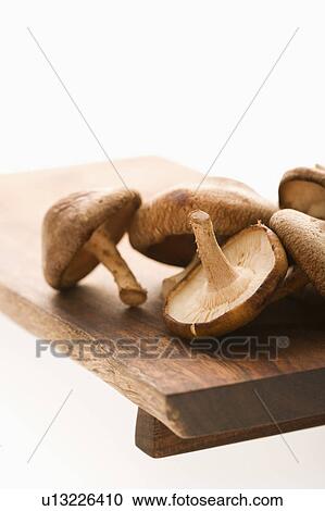 Pile of shiitake mushrooms on cutting board. View Large Photo Image Stock Image - Pile of shiitake mushrooms on cutting board.. Fotosearch