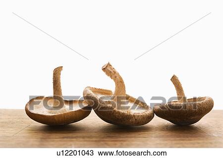 Three brown mushrooms upside down. View Large Photo Image Stock Image - Three brown mushrooms upside down.. Fotosearch