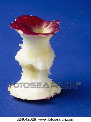 Stock Photo - Empire apple core on blue background. Fotosearch