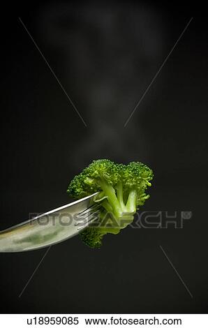 Steaming broccoli on end of fork View Large Photo Image Stock Photography - Steaming broccoli on end of fork. Fotosearch