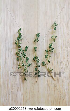 Stock Image - Oregano. Fotosearch