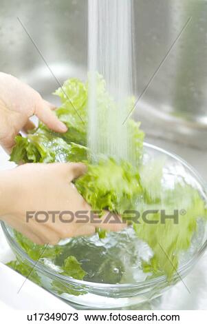 Stock Image - A woman washing vegetables. Fotosearch