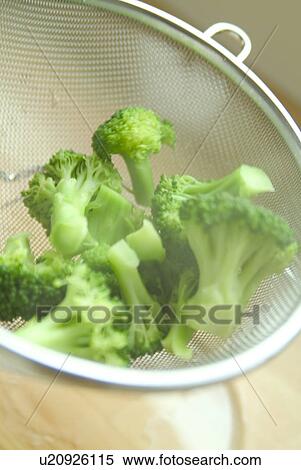 Close-up of boiled broccoli View Large Photo Image Stock Photography - Close-up of boiled broccoli. Fotosearch