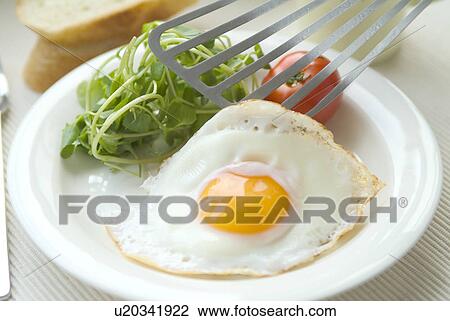 Fried egg and salad View Large Photo Image Stock Image - Fried egg and salad. Fotosearch