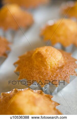 Stock Photo - Madeleine cakes. Fotosearch