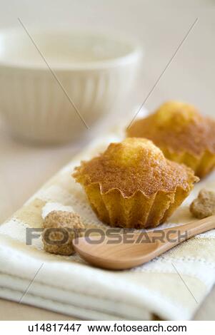 Stock Photo - Madeleine cakes. Fotosearch