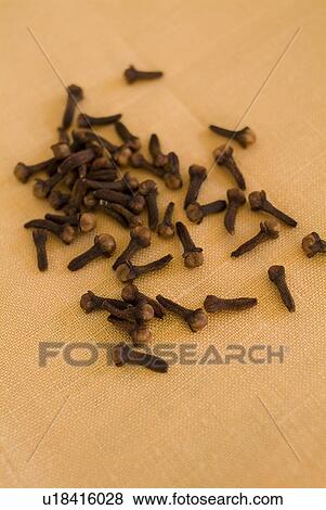 Stock Photo - Cloves. Fotosearch