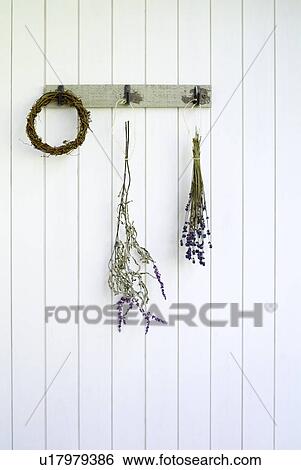 Dried flowers View Large Photo Image Stock Photograph - Dried flowers. Fotosearch