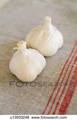 Garlic? View Large Photo Image Stock Photo - Garlic?. Fotosearch
