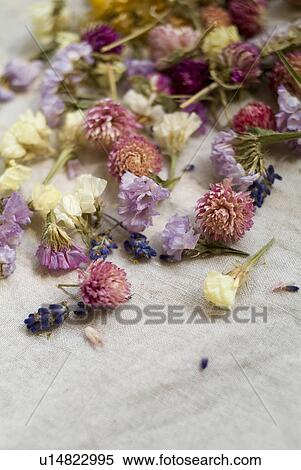 Stock Photography - Potpourri. Fotosearch