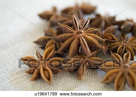 Stock Photo - Star Anise. Fotosearch