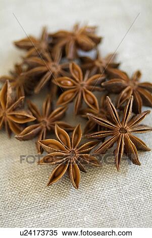 Stock Photography - Star Anise. Fotosearch