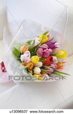 Stock Photo - Bunch of tulips. Fotosearch
